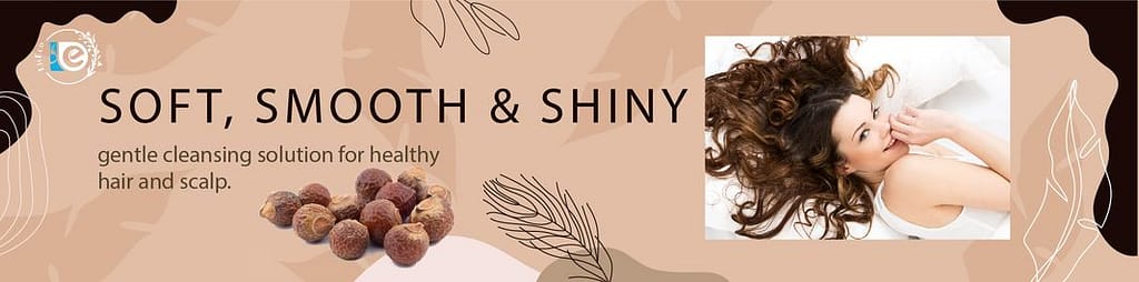 LivEco natural reetha powder - gentle cleansing solution for healthy hair and scalp