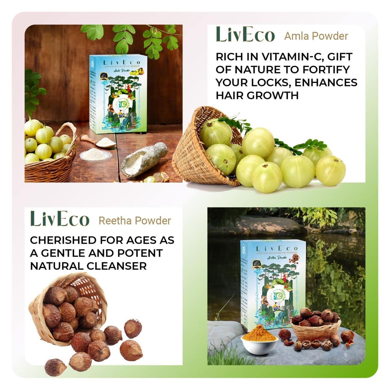 liveco amla reetha powder