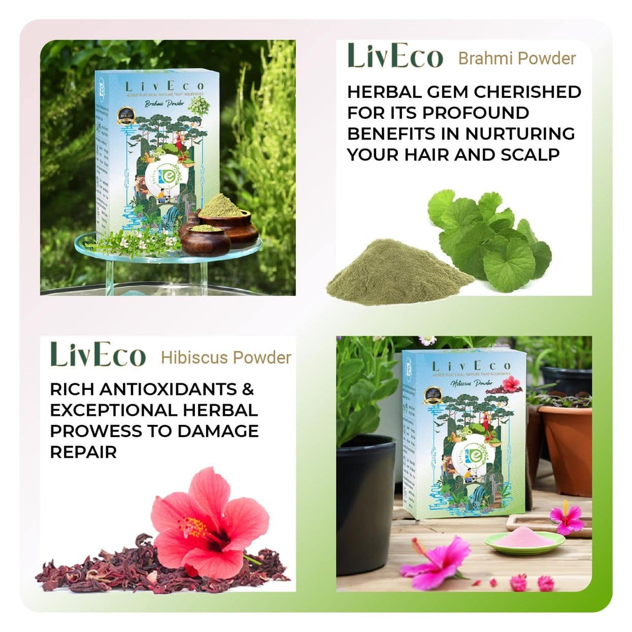 liveco brahmi hibiscus powder